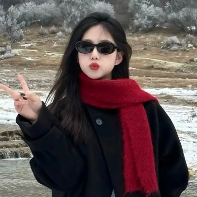追击拉登行动
