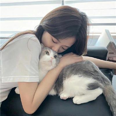 又喜又羞物语